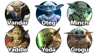 Every Member of Yoda s Species EXPLAINED