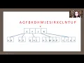 30 Storage Strategies - B Trees and B plus Trees