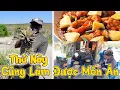 Download Lagu Thứ Này Cũng Làm Được Món Ăn À Em? Anh Pascoa Trầm Trồ Về Món Ngon Có 1 Không 2 Khó Cưỡng Lại!