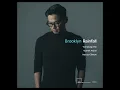 Brooklyn Rainfall