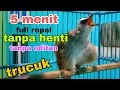 Download Lagu Trucukan gacor ropel 1 nafas panjang 5 menit tanpa henti no edit