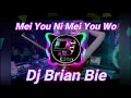 Download Lagu Mei You Ni Mei You Wo 沒有你沒有我 Remix By Dj Brian Bie