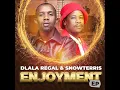 Lagu Dlala Regal x Snow Terris - Mfudumalo (Feat Scotts Maphuma, Cowboy Mnesh, Boss Tenor x Steady K)