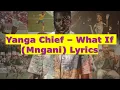 Download Lagu Yanga Chief - What If (Mngani) Lyrics