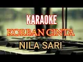 Download Lagu KARAOKE KORBAN CINTA NILA SARI [ Lirik ] Lagu Tapsel