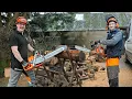 Husqvarna 592 XP vs Husqvarna 372 XP
