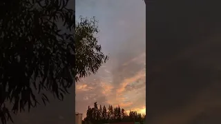 ألم تر كيف ضرب الله مثلا كلمة طيبة كشجرة طيبة أصلها ثابت وفرعها في السماء 