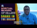 Spritual Meaning of Killing Snake in the Dream
