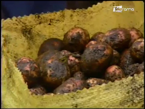 Ecuador Agropecuario 21-03-2018