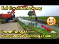 Download Lagu Parah Banget !!!! Buang Sampah Satu Karung Ke Kali || Normalisasi kali karawang || KDM