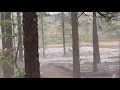 Flooding rain in Flagstaff Arizona as monsoon season is in full swing