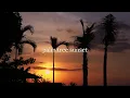watching a palm tree sunset - 2 hour loop with relaxing sounds