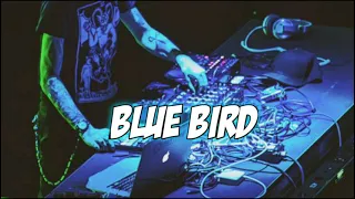 Download Gusty RemixeR - BLUE BIRD ( Simple Fvnky ) NEW2021 MP3