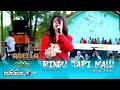 Download Lagu RINDU TAPI MALU - Adinda Rachel - OM. ADELLA - CUMI CUMI Audio - OSXAR Community 2024