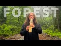 Lagu Forest Oasis - Native American Flute \u0026 Nature Sounds
