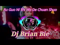 Download Lagu Ru Guo Ni Shi Wo De Chuan Shuo 如果你是我的传说 Remix By Dj Brian Bie