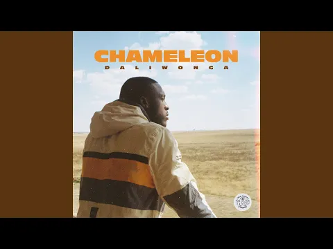 Download MP3 Chameleon