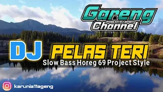 Download DJ Slow Bass Horeg PELAS TERI by gareng chanel 69 Project Style MP3