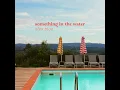 Something In The Water