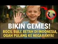 Download Lagu Lucu Banget! Bocil Bule Ketagihan Tinggal di Indonesia, Sampai Susah Diajak Balik