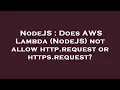 NodeJS Does AWS Lambda NodeJS not allow http request or https request