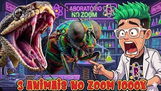 ANIMAIS BIZARROS NO MICROSCÓPIO!!!  #amor  #humor  #ronificher #piadas
