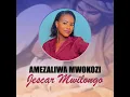 AMEZALIWA MWOKOZI