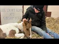 Episode 5 - All About Easy Our Dummy Foal