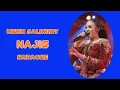 Download Lagu Niken Salindry - Najis - KARAOKE