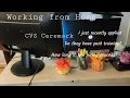 Working from home Answering your questions CVS