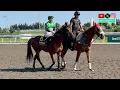 American Mare Proctor Street Favored as She Invades Canada for 2026 Canadian Stakes