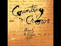 Counting Crows - Mr. Jones • 4K 432 Hz