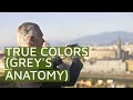 True Colors Grey s Anatomy