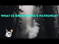 I Took The Harry Potter Patronus Sorting Quiz