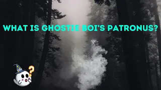 I Took The Harry Potter Patronus Sorting Quiz