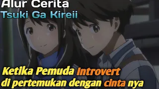 keluar dari zona aman untuk mengenal cinta seluruh alur cerita tsuki ga kireii