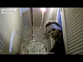 Halloween 1978 Full Ending Scene Young Jamie Lee Curtis