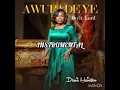 Diana Hamilton's - Awurade Ye(Do it) Instrumentals