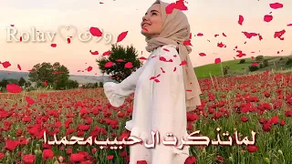 نور إضاء بصيرتي فاضاني دندنها