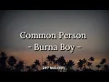 Download Lagu Burna Boy - Common Person (Lyrics)