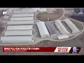 Avian flu outbreak hits Jefferson County poultry operation