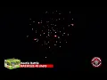 Beetle Battle - 12827