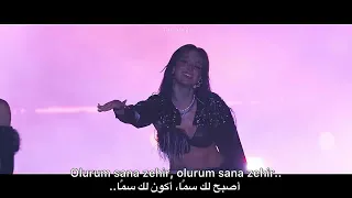                                      مترجم للعربية    دندنها