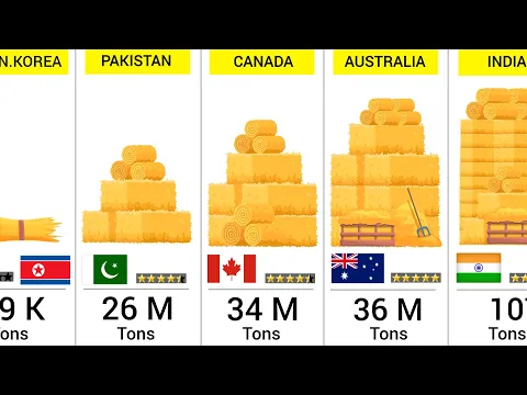 Wheat Production by country (2024) - 122 Countries Compared