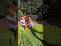 Dada cannot be trusted