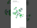 Force directed network graph - D3 js interactive data visualization