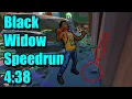 World Record Black Widow Speedrun in 4 38 Grounded
