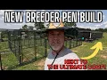 Expanding Our Chicken Breeder Pens New Setup Next to Our ULTIMATE Shipping Container Chicken Coop