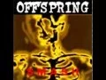 Download Lagu The Offspring Smash Full Album