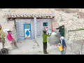 Download Lagu Tanker for water storage: Generous operator's gift to nomadic lady